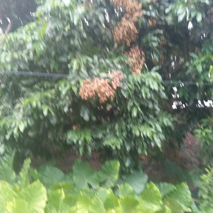 知不足，而习之。
