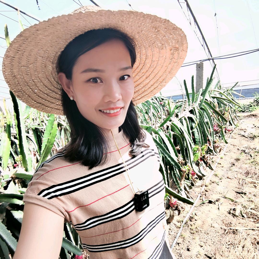 农业种植郝简单
