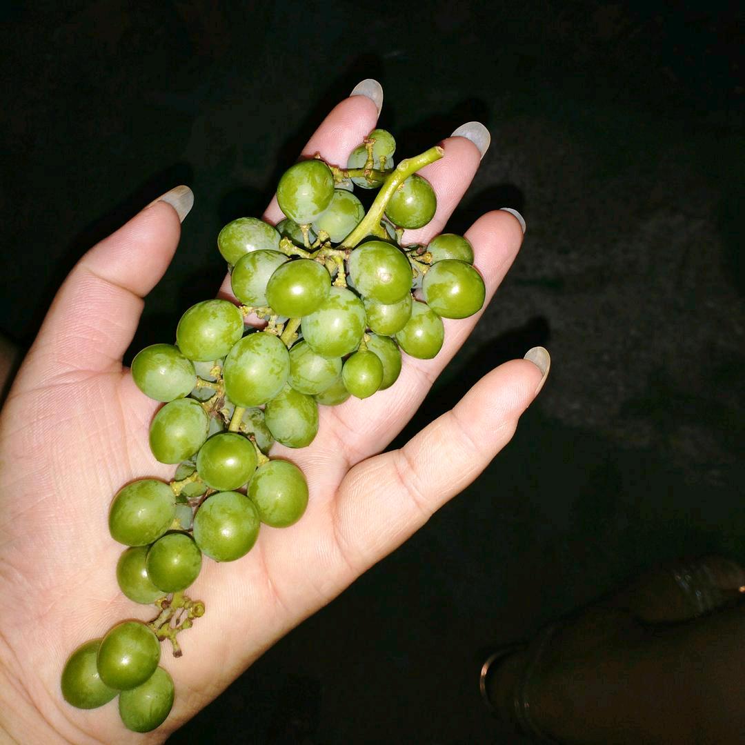 一言难尽