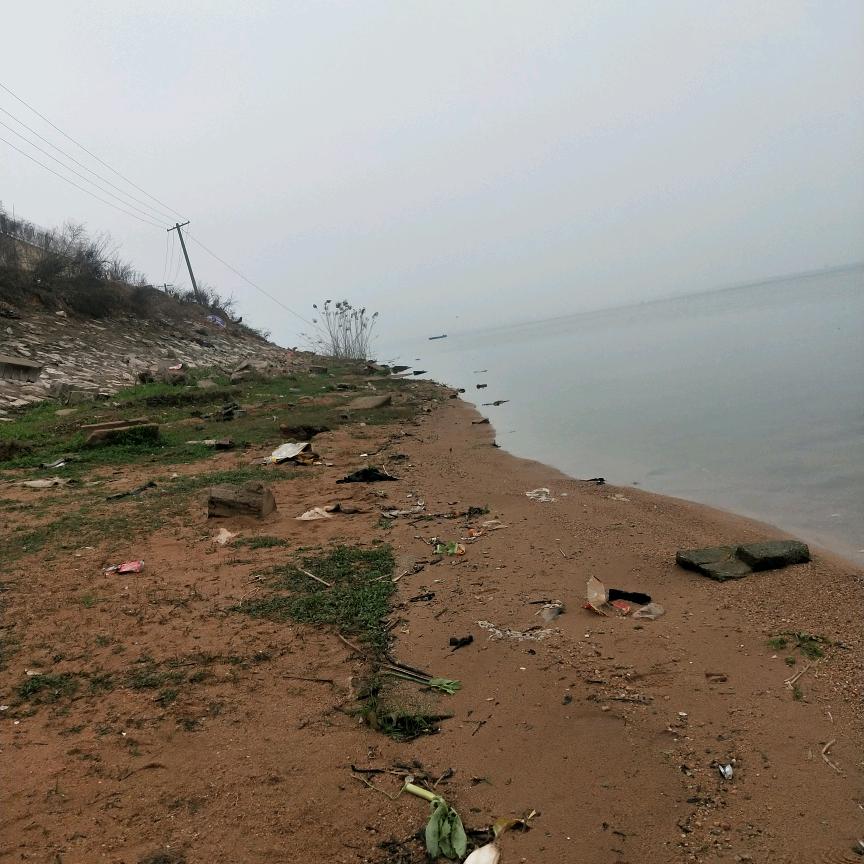 白天不懂夜的黑