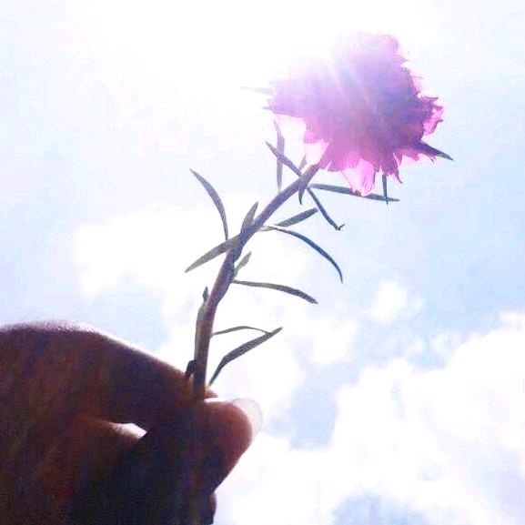 泌阳专业换窗纱