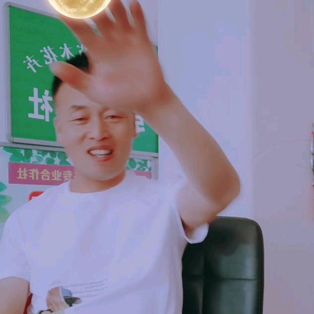 周至杨坤苗木绿化