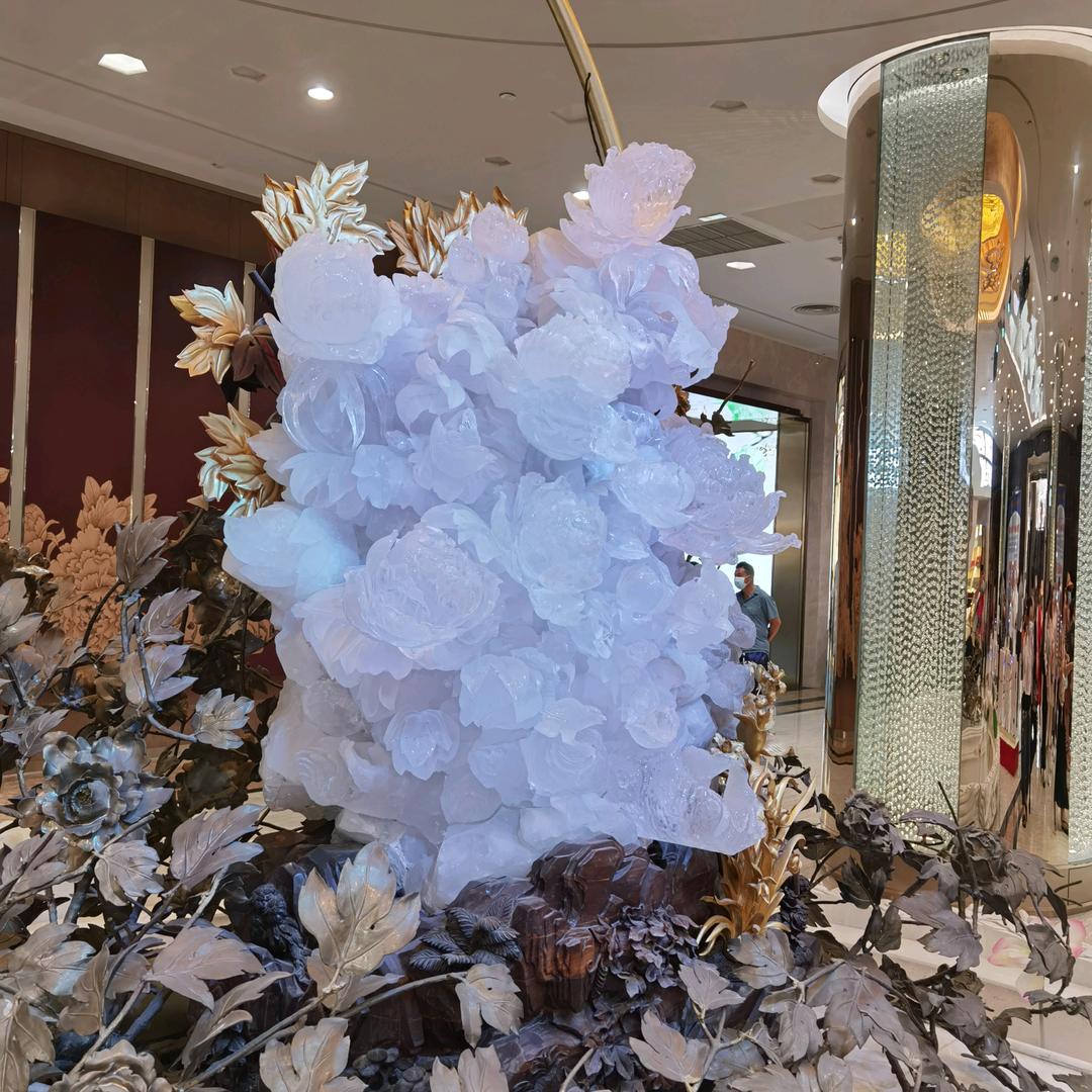 灵芝