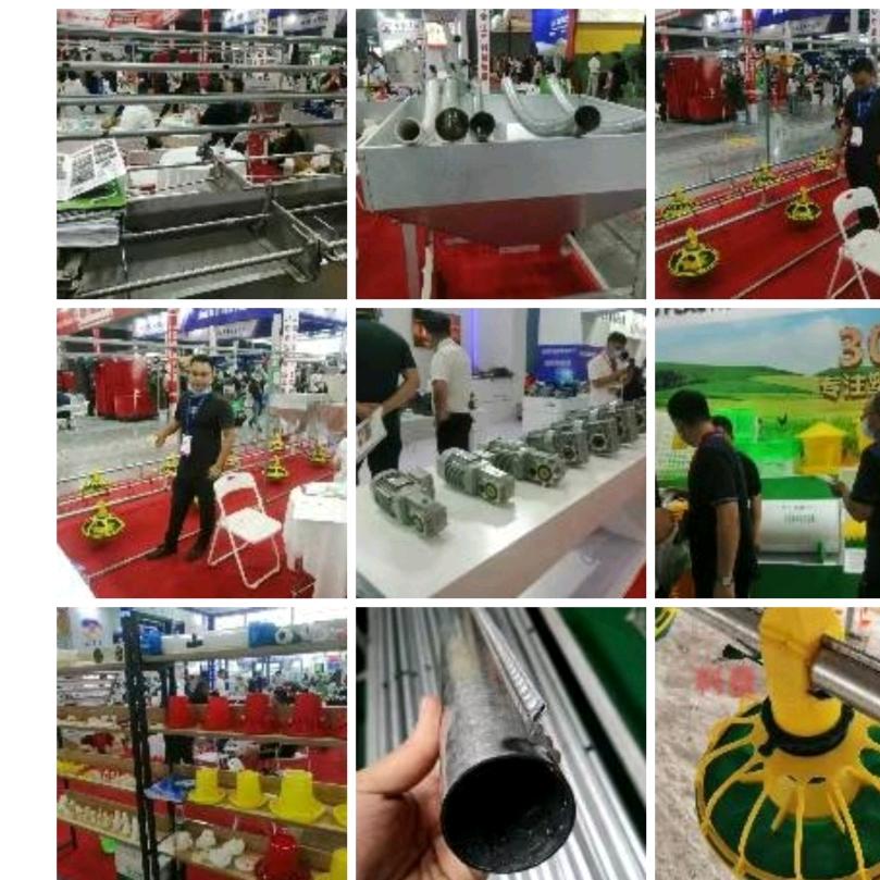 广西陆川治敬鸡栏