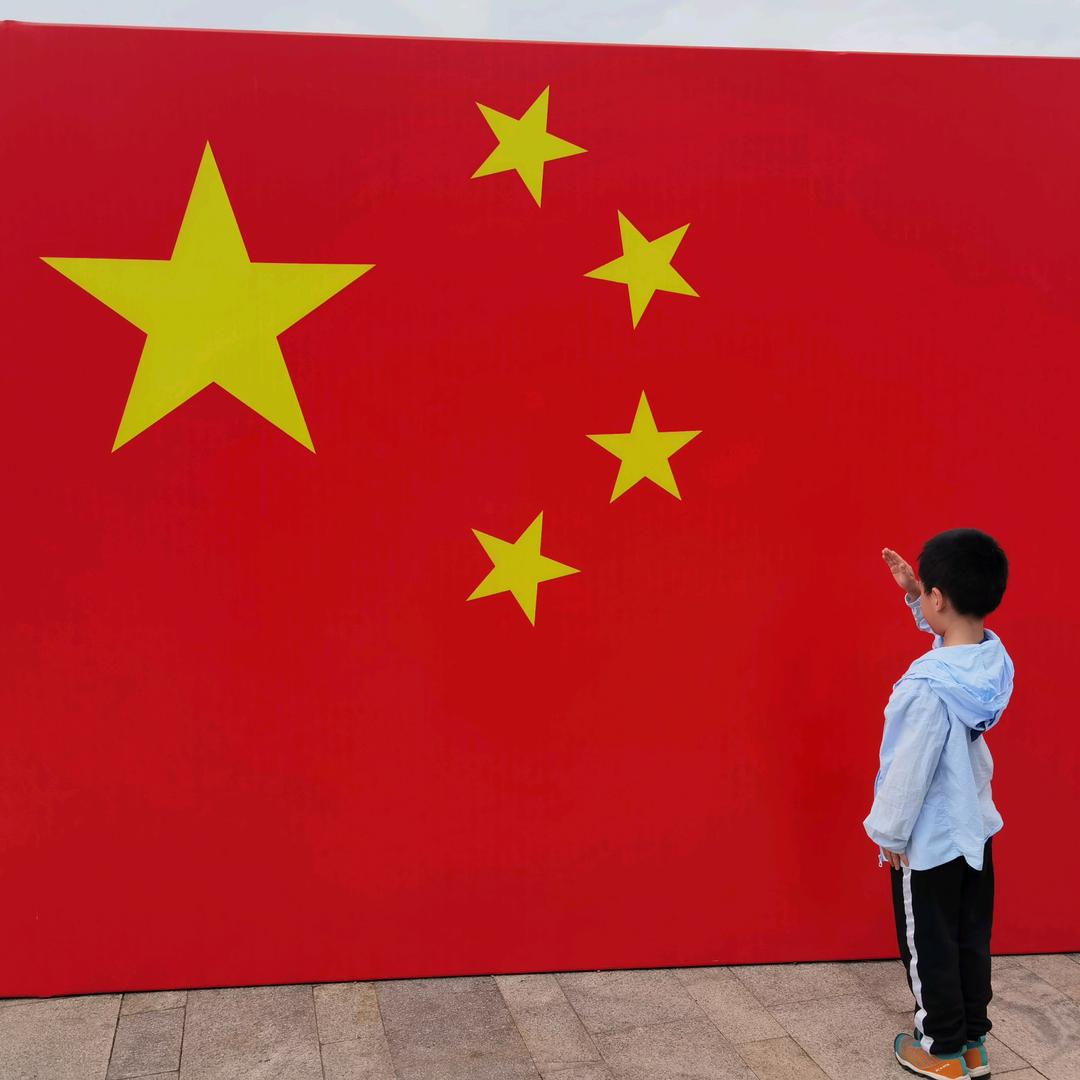 喵喵陶陶