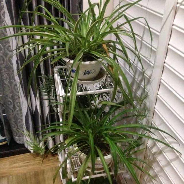 用户1871359258372刘