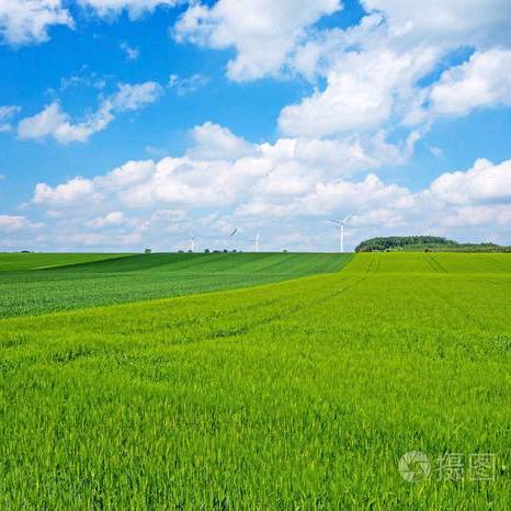 悠然见南山