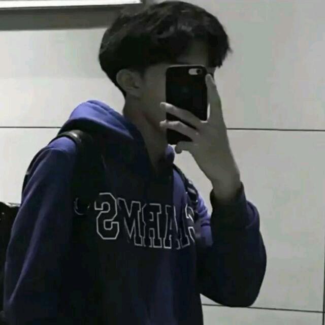 Hao崽（用努力弥补天赋）