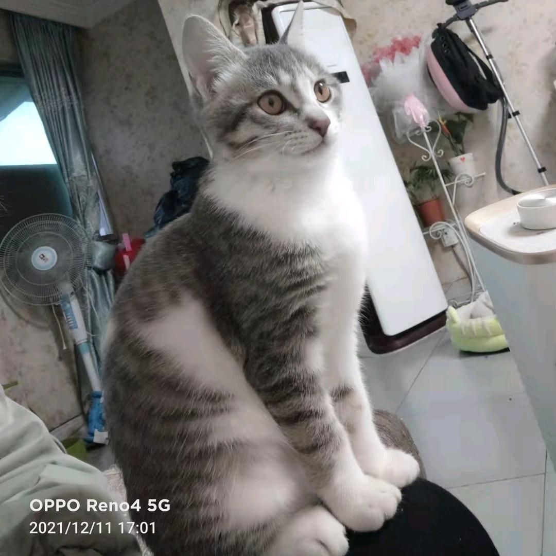 喝完一杯还有三杯￥