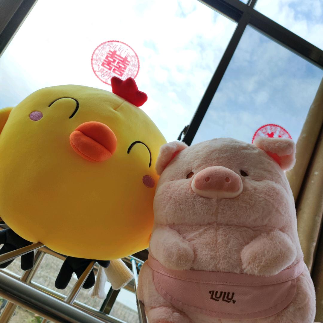 陈爱迪