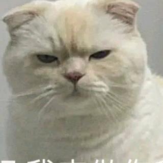 油酸萝卜别吃
