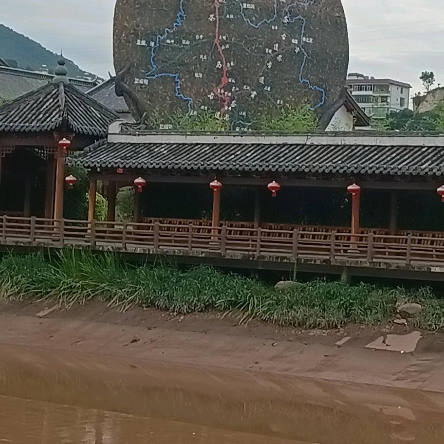 我的人生我做主