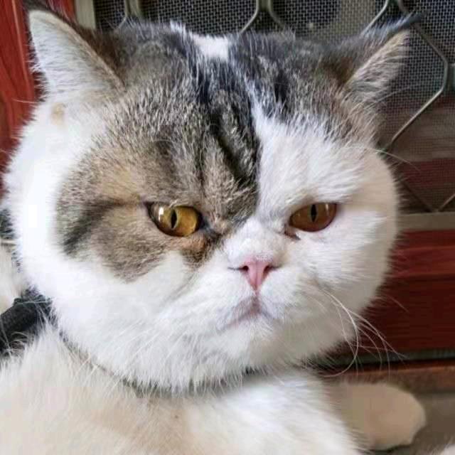 风雨无阻～……