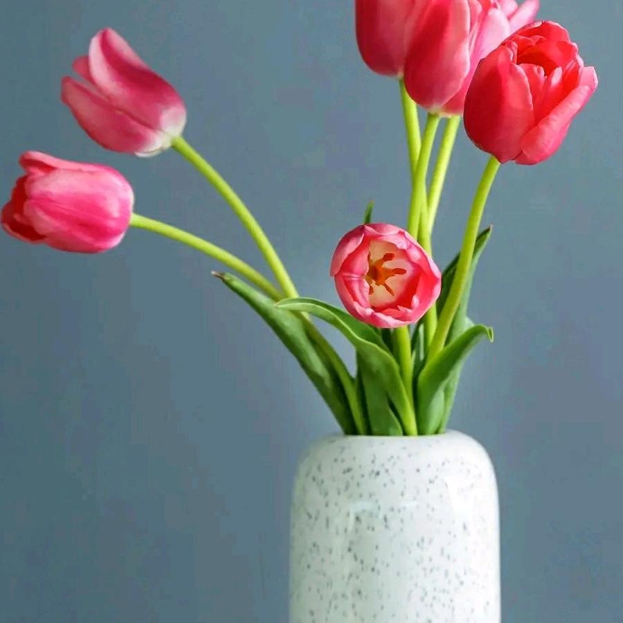 要想成功要努力