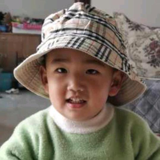 王丽的花美男2号