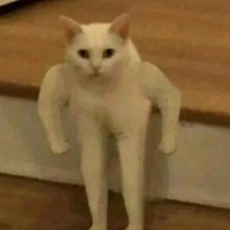 梦萌