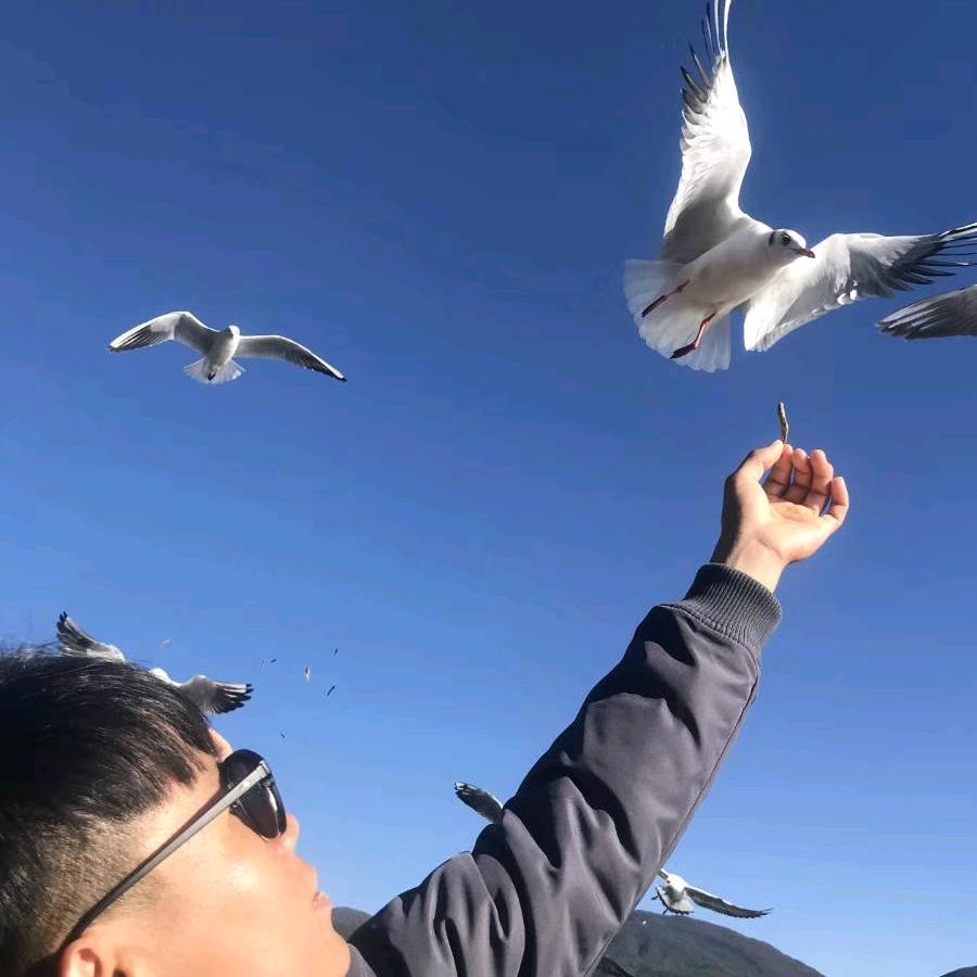 越沉重越飞翔