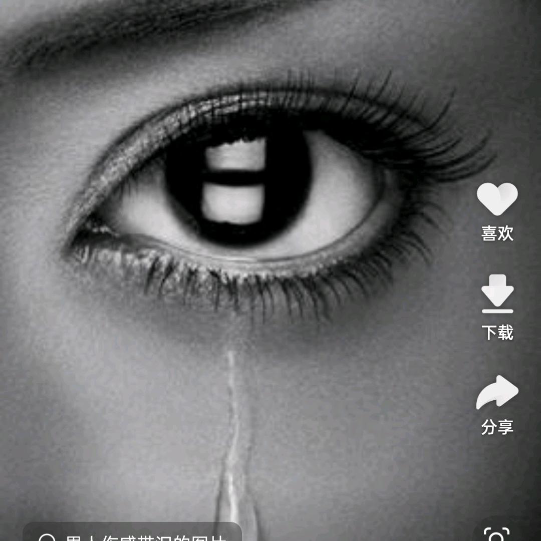 桃花（流浪的妞）