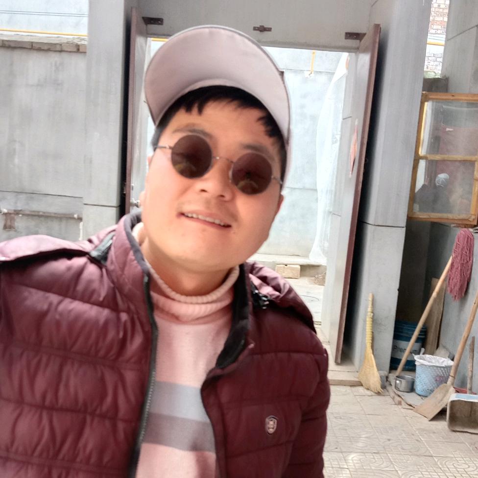孤独的骆驼