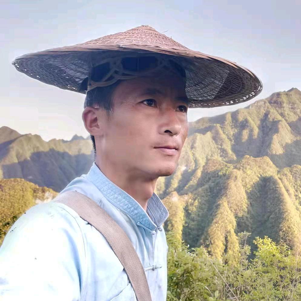 农村追蜂王