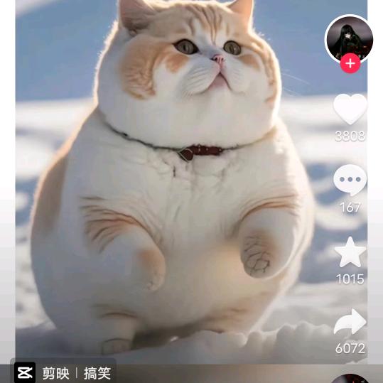 你笑起来真好看
