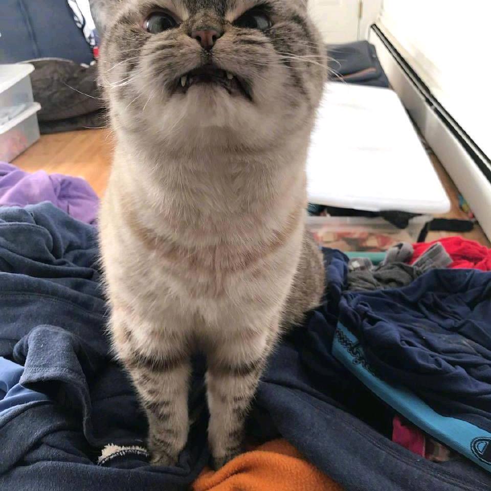 专业修仙九千年