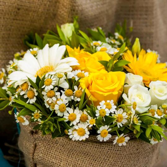 用户心想事成8883926308632