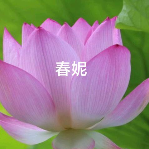 春妮姐姐