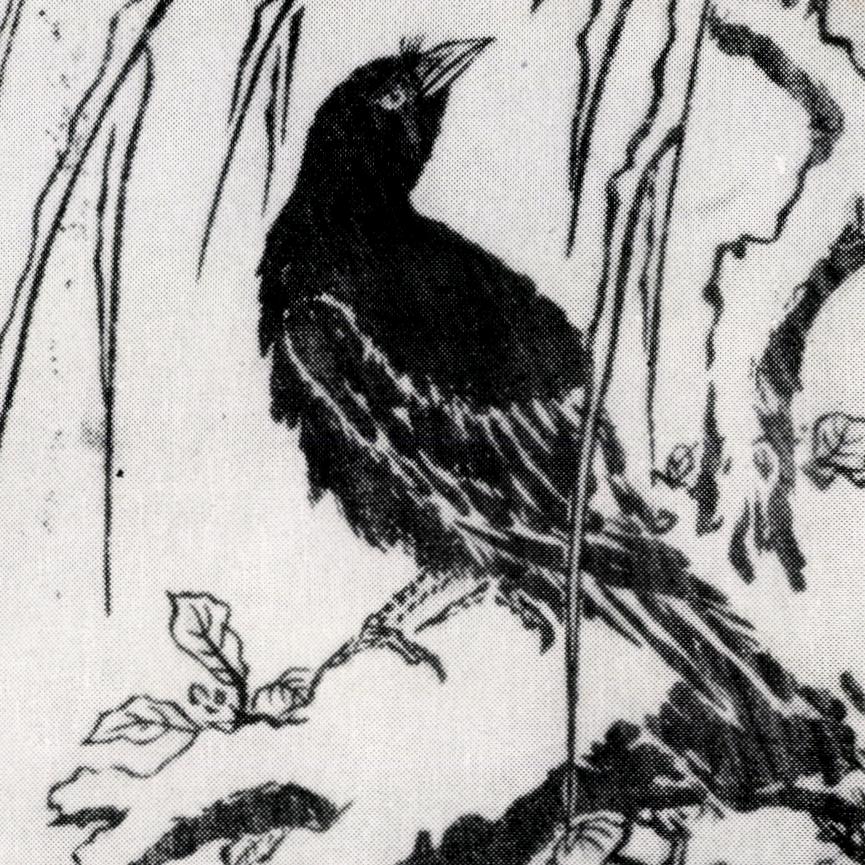 捷克论剑