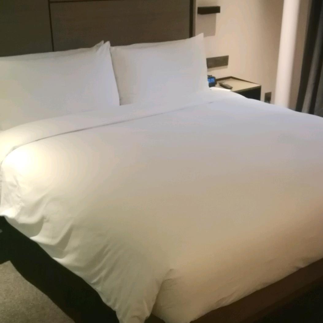 天津客房ZP