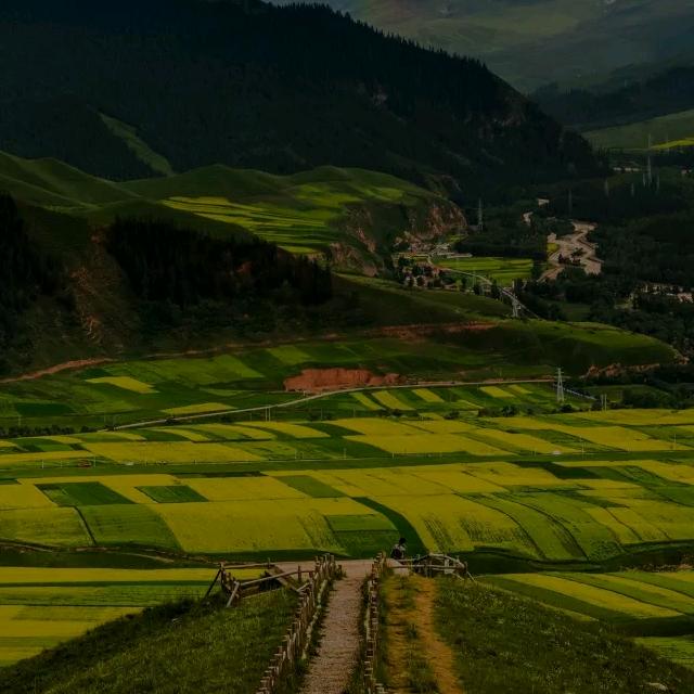 一路有你