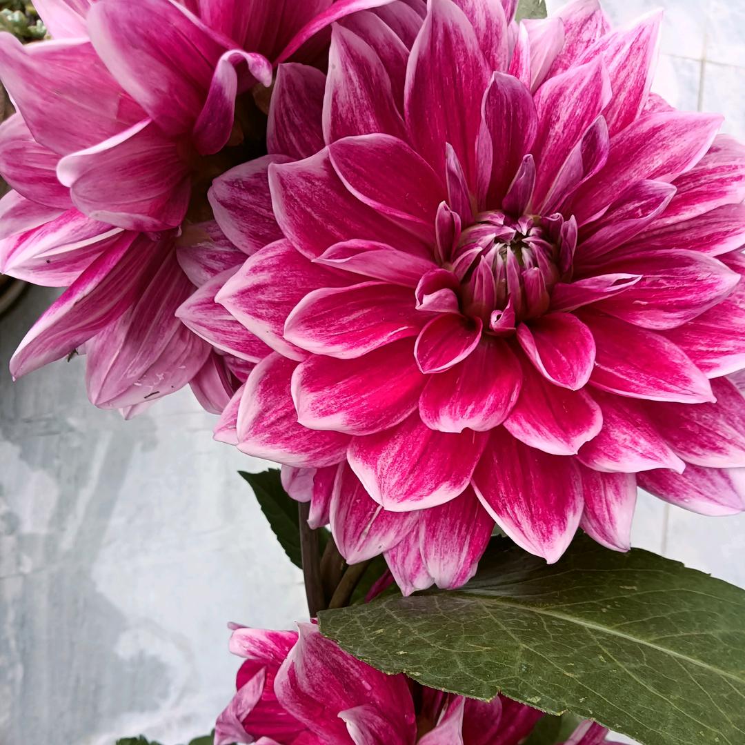 一生忙碌的人