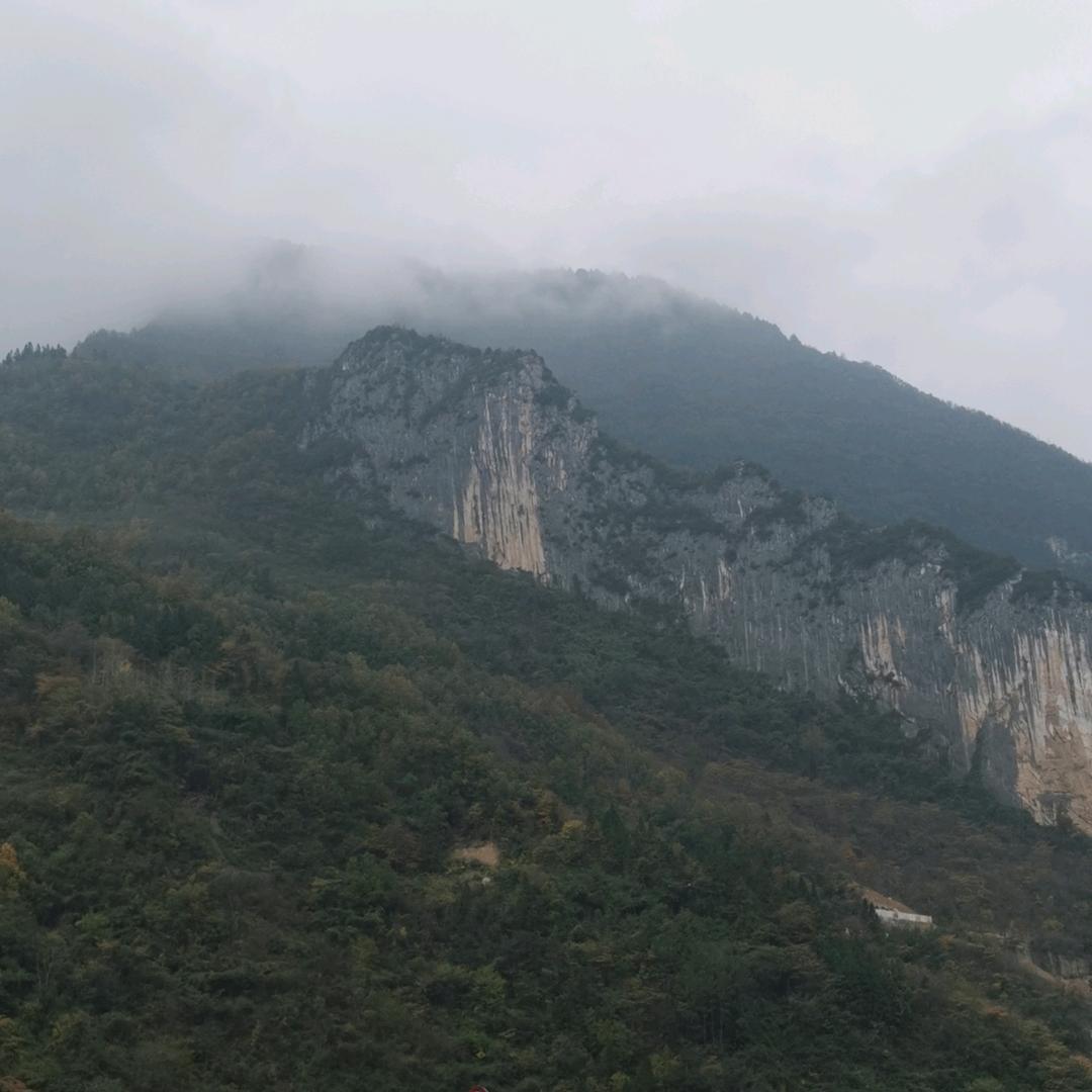 理想