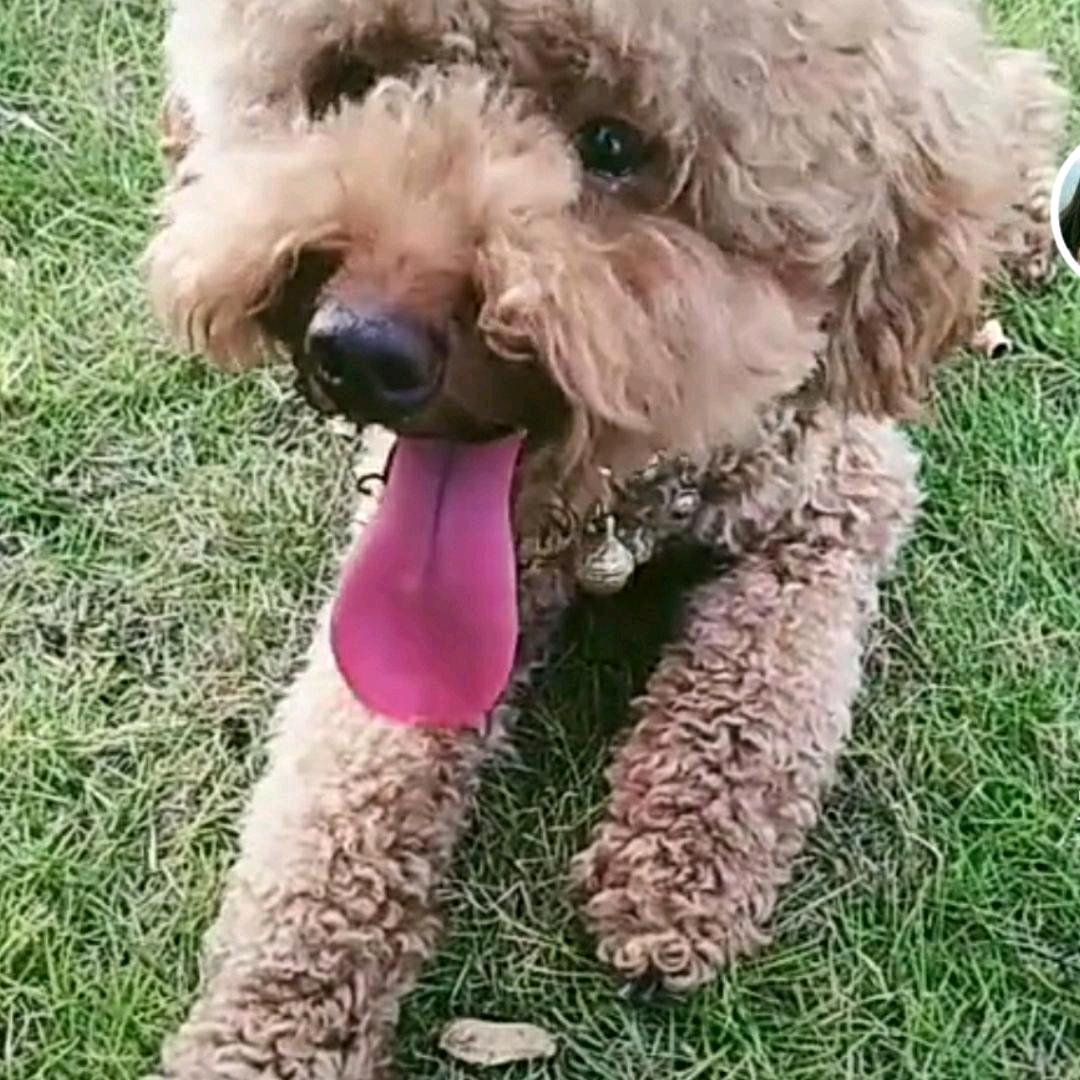 💇感恩遇见〔拒绝连赞〕