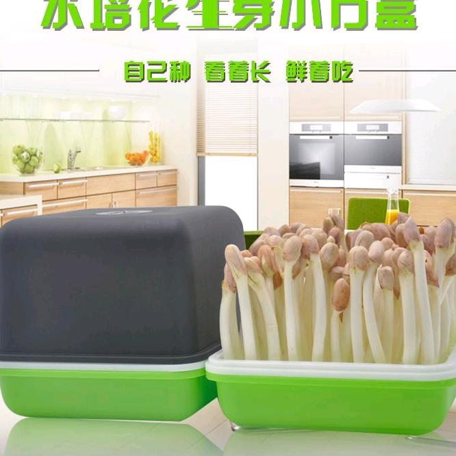 小菜园