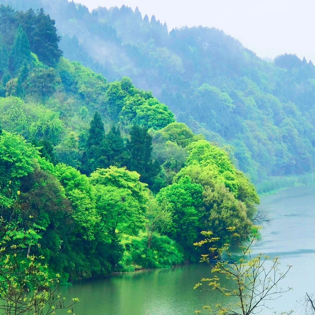 漾