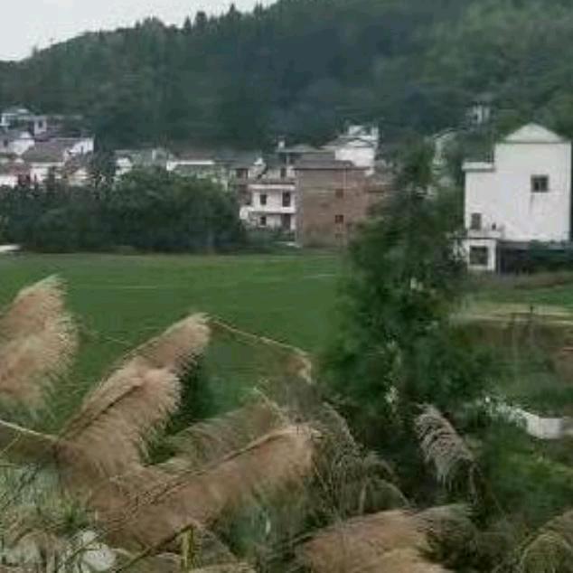 小许