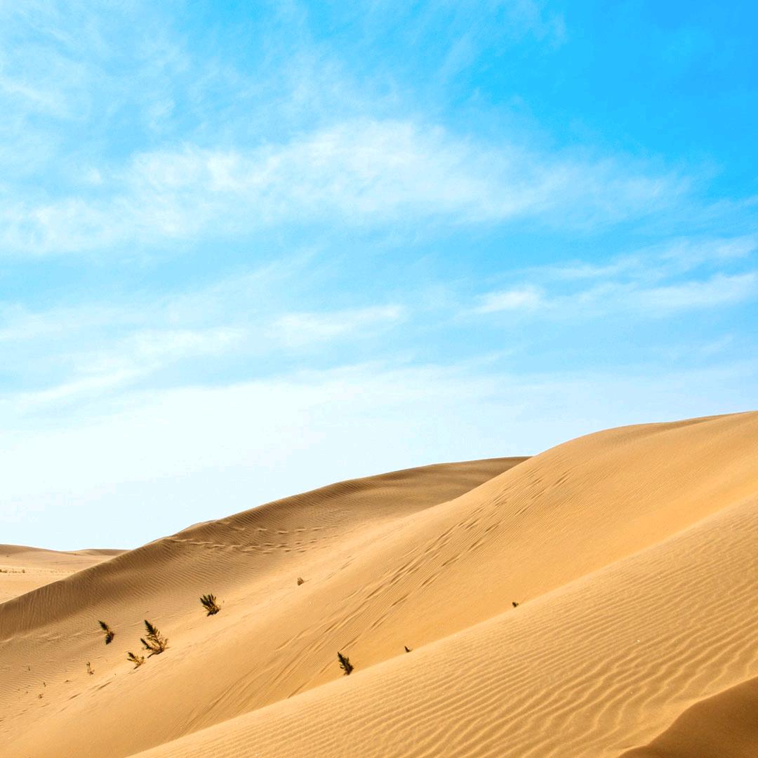 sy心若在梦就在