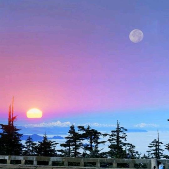 宁静致远
