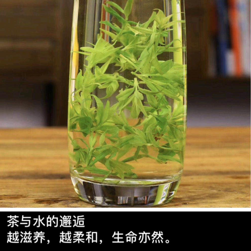 君不可一日无茶🍵