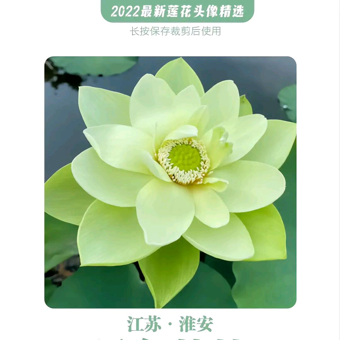 开心6688