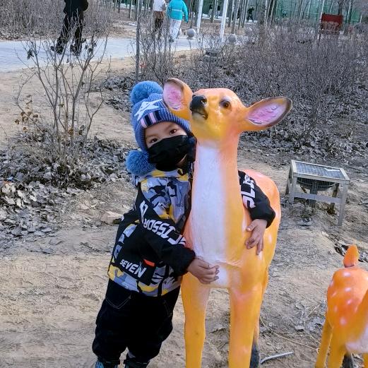 阳阳加油