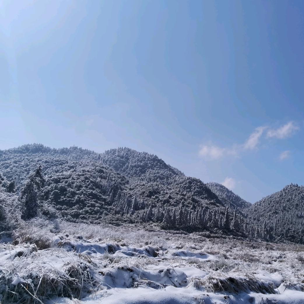 鹰岩梧桐用户3698049748875