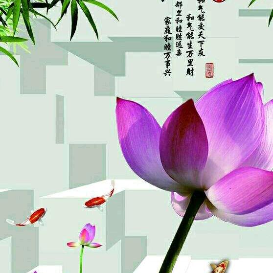 豪情好运常在