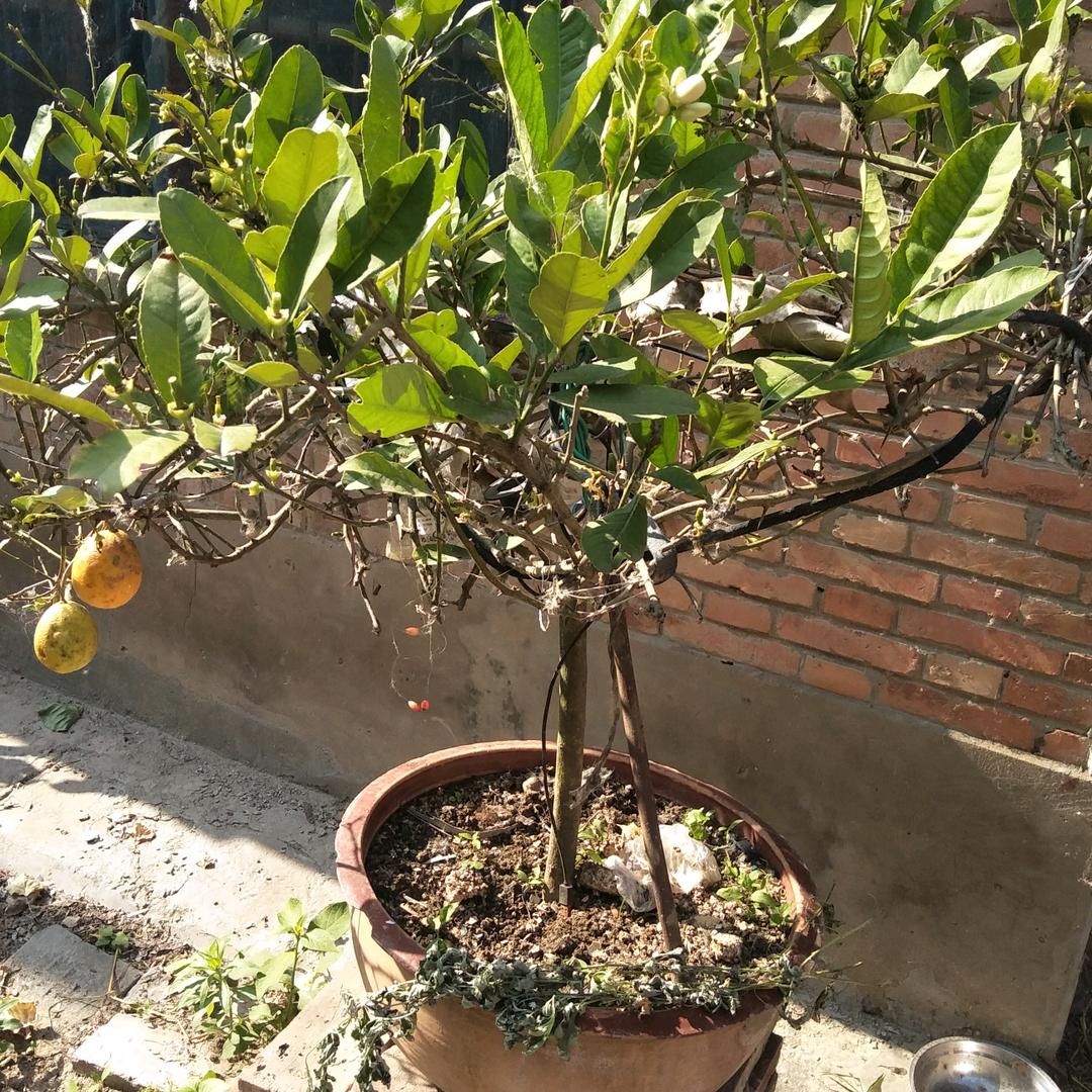 专业安装室内套装门