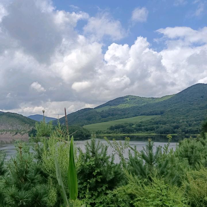 颐坤东北特产