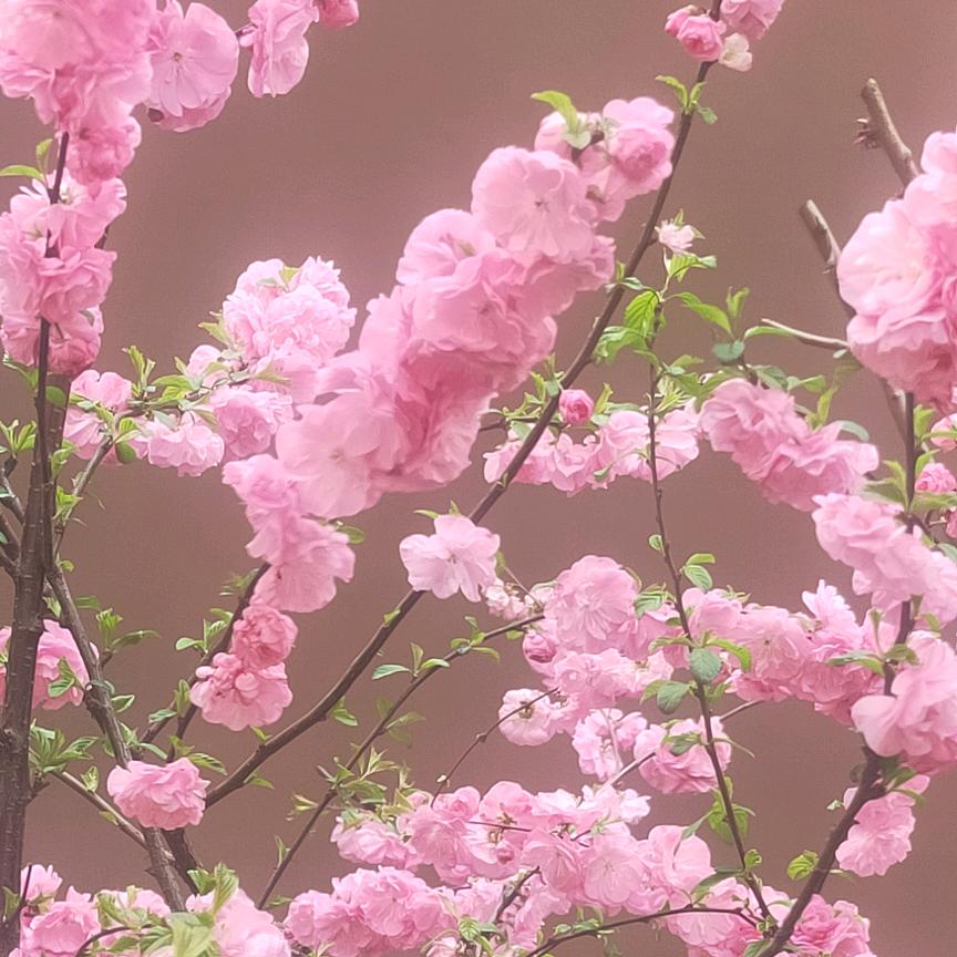 许老师说单招