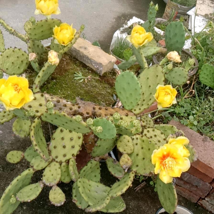 百听不厌的歌曲。