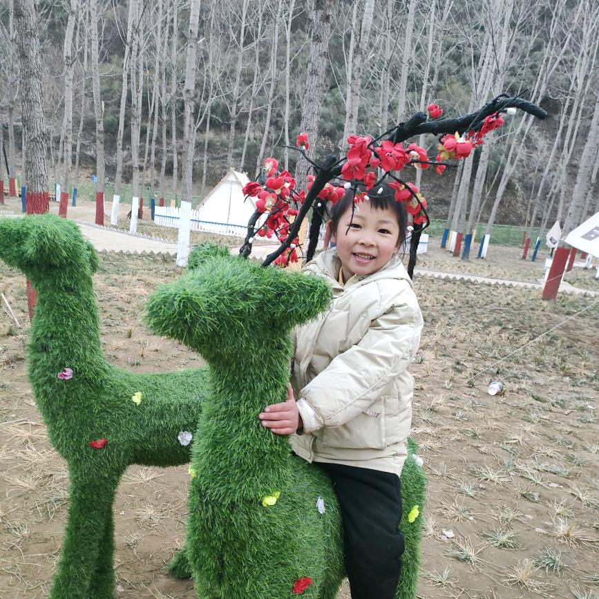 小燕子🍀🍀