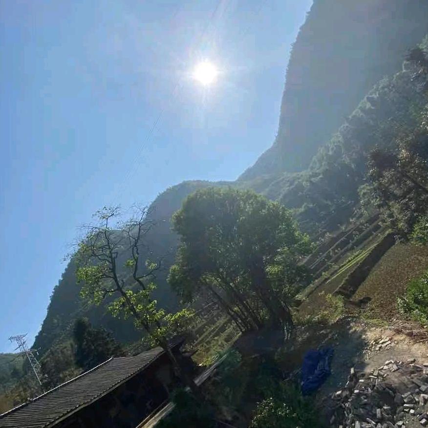 85的老奶奶瘳氏家族